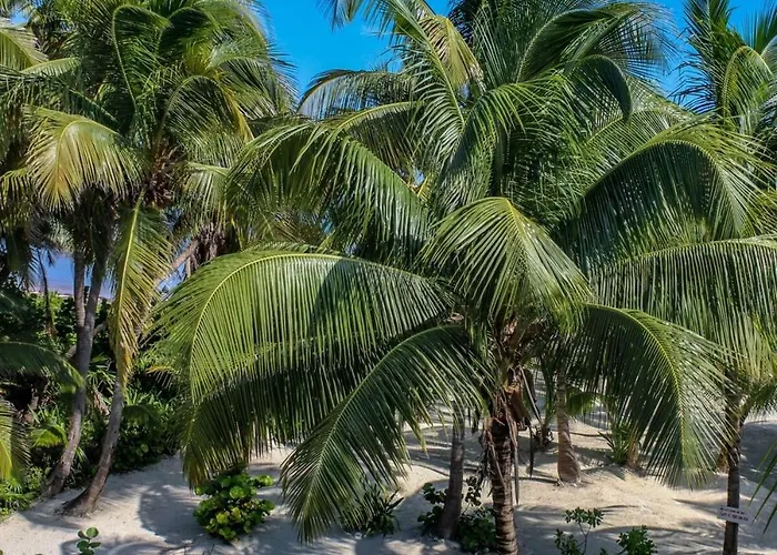 North Retreat * San Pedro (Ambergris Caye)